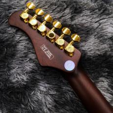 Bacchus BARON-CTM BLK -Global Series-【特価】【高級感のあるアーチトップ!】_6