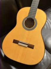 Juan Hernandez [ホアン・エルナンデス] Sonata Flamenca【スペイン製】【オール単板】