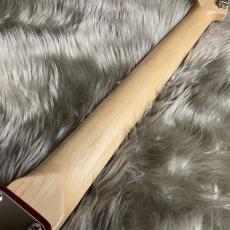 SCHECTER OL-PT-TH (CAR) [SPOT MODEL]【現物画像】【最大36回分割無金利キャンペーン実施中】_10