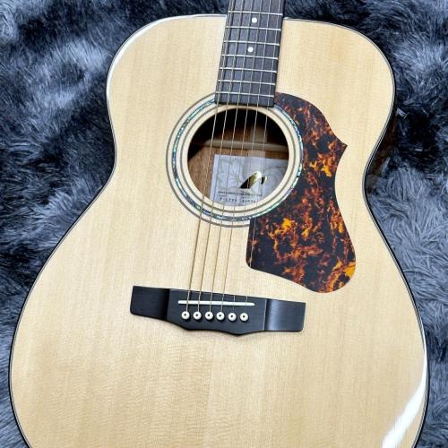 Morris F-LTD II NAT 【展示入替特価】【日本製】【オール単板】