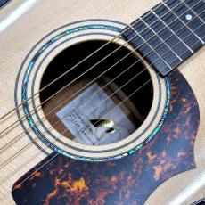 Morris F-LTD II NAT 【展示入替特価】【日本製】【オール単板】_4