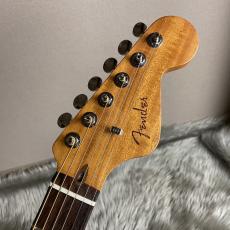 Fender Highway Series Dreadnought All-Mahogany 【現物画像】_7