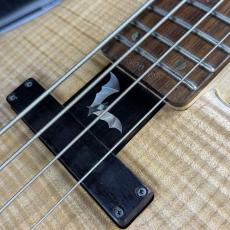 Sugi NB4D FM/ASH_3
