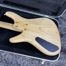 Sugi NB4D FM/ASH_9