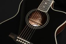 Paul Reed Smith [PRS] SE A20E Blacktop 2022_3