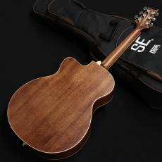 Paul Reed Smith [PRS] SE A20E Blacktop 2022_7