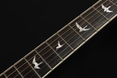Paul Reed Smith [PRS] SE A20E Blacktop 2022_10