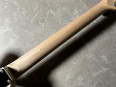 Providence pH-202RSC/SS　志村昭三氏設計&セットアップ　【現物画像・3.60kg】_10