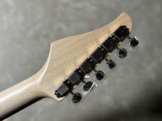 Providence pH-202RSC/SS　志村昭三氏設計&セットアップ　【現物画像・3.60kg】_11