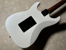 Bacchus SGS-STD RSM/R【現物画像・3.29kg】_9