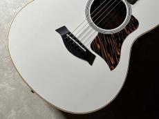 Taylor GS Mini-e Translucen_3
