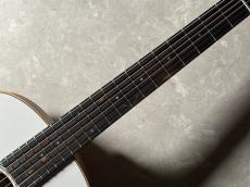Taylor GS Mini-e Translucen_5