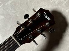 Taylor GS Mini-e Translucen_6