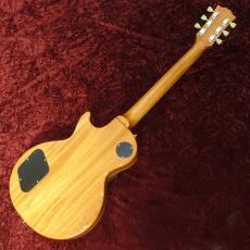 Tokai LS-101S SGM_6