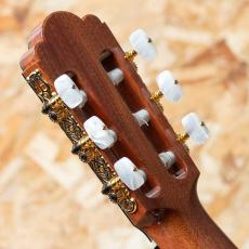ASTURIAS PRELUDE S_9