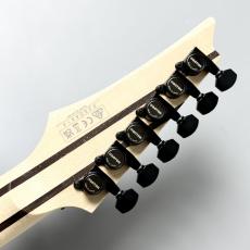 Ibanez Ibanez RG8620AH-GFB -Ghost Fleet Blue Burst-【国内独占販売】【限定10本】【3.72kg】_11