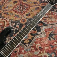 Edwards E-HORIZON-I / BK_6