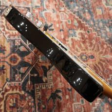 Bacchus BTE-1DX RSM/M 3TS (3-Tone Sunburst) -Univers Series- 【特価】【ステンレスフレット】_9