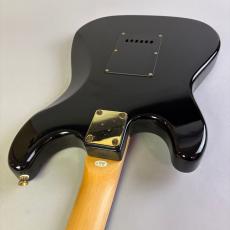 SELDER STRAT TYPE_10