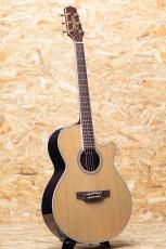 Takamine PTU141C N_3