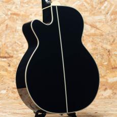 Takamine FPT561C BL_2