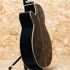 Takamine FPT561C BL_5
