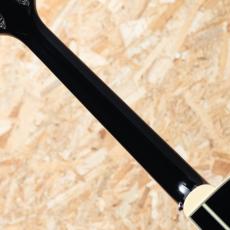 Takamine FPT561C BL_7