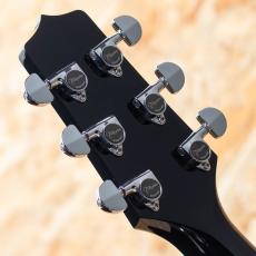 Takamine FPT561C BL_9