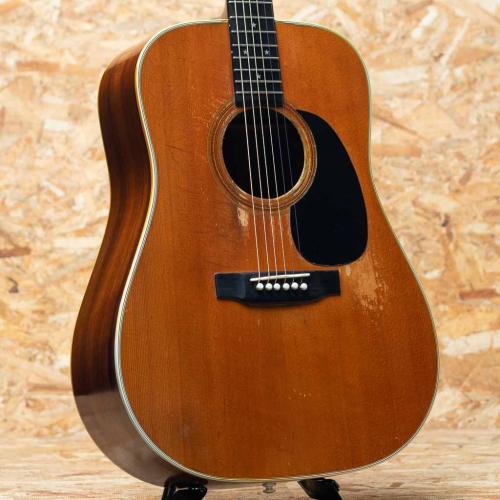Martin D-76 1976