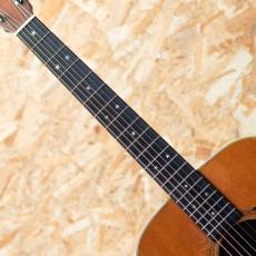 Martin D-76 1976_6