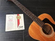 Guild F-30　ハカランダブリッジ&ハカランダ指板　1966年タグ付き_8