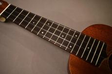 Luna MV-2SP【USED】_7