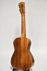 Kelii C-G/V -Concert- 【コンサートサイズ】_4