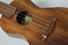 Kelii C-G/V -Concert- 【コンサートサイズ】_7