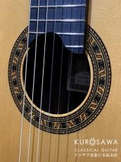 ESTEVE エステベ Model:ELEC Spr オール単板 エレガット 【日本総本店2F 在庫品】_3