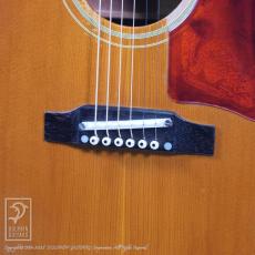 Gibson J-45_9