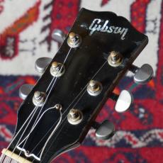 Build A Burst (Burst Guitars) 1959 Les Paul "GREENY" Replica_8