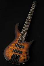 Ibanez EHB1505S -Dragon Eye Burst Low Gloss / DEL- #250609609_2