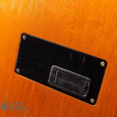 Gibson Chet Atkins CEC Satin_10