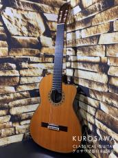 ESTEVE エステベ Model:ELEC Cdr オール単板 エレガット 【日本総本店2F 在庫品】