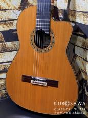 ESTEVE エステベ Model:ELEC Cdr オール単板 エレガット 【日本総本店2F 在庫品】_2