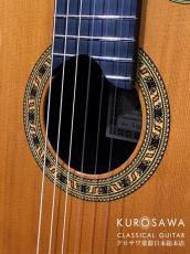 ESTEVE エステベ Model:ELEC Cdr オール単板 エレガット 【日本総本店2F 在庫品】_3