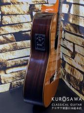 ESTEVE エステベ Model:ELEC Cdr オール単板 エレガット 【日本総本店2F 在庫品】_7