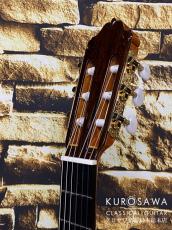 ESTEVE エステベ Model:ELEC Cdr オール単板 エレガット 【日本総本店2F 在庫品】_8
