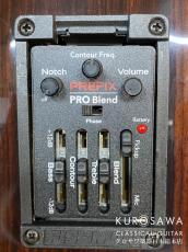 ESTEVE エステベ Model:ELEC Cdr オール単板 エレガット 【日本総本店2F 在庫品】_10