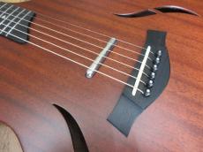 Taylor T5 CLASSIC_3