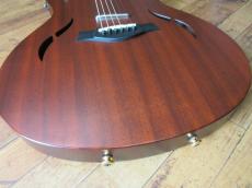 Taylor T5 CLASSIC_4