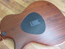 Taylor T5 CLASSIC_10