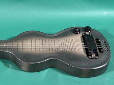 Rickenbacker MODEL-NS_5