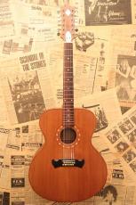 ZEMAITIS 1987 Custom "12Strings Flat Top"